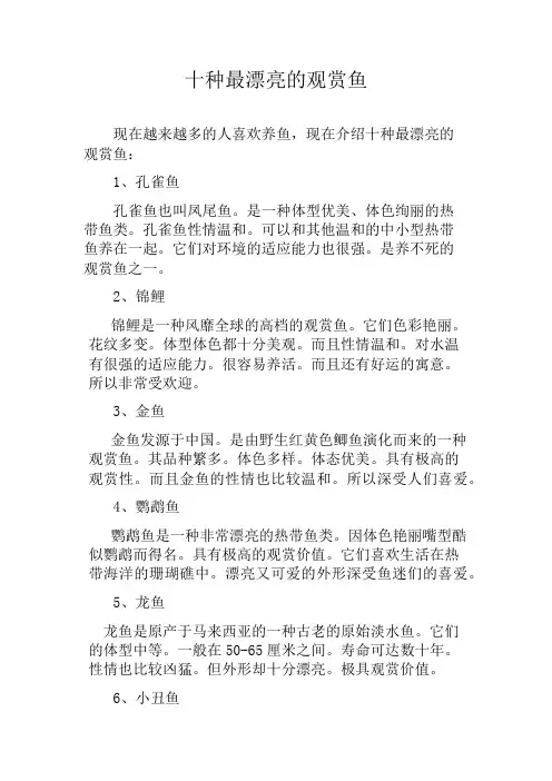 十种最漂亮的观赏鱼