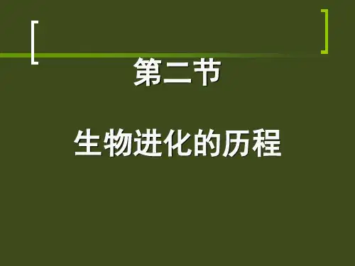 二节生物进化的历程