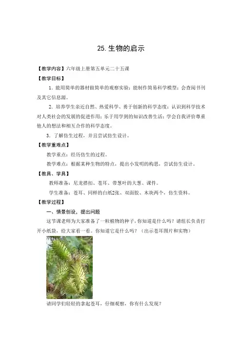 青岛版科学六年级《生物的启示》优秀教案