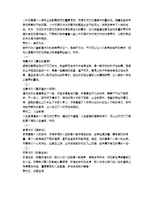小升初语文作文范文精选素材