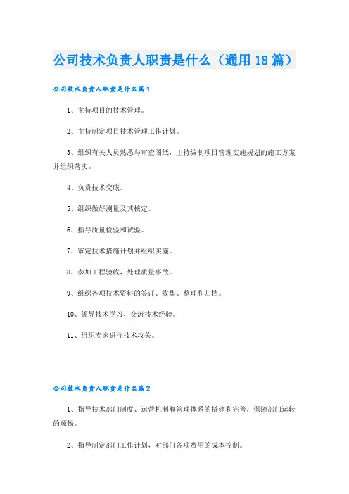 公司技术负责人职责是什么(通用18篇)