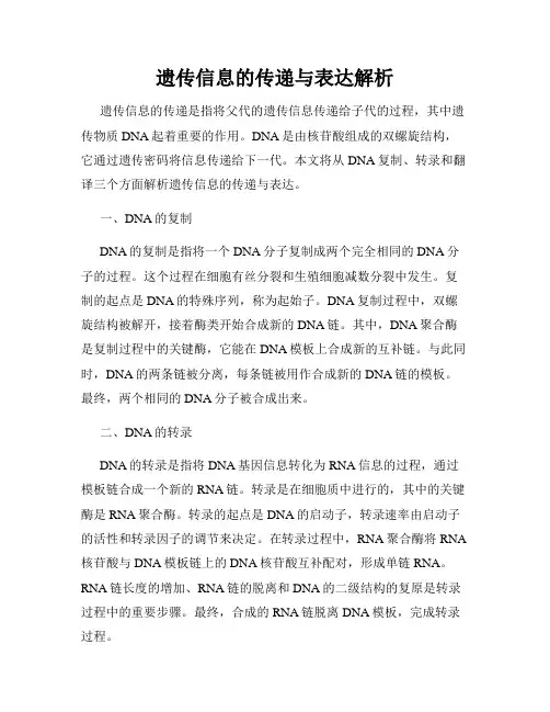 遗传信息的传递与表达解析