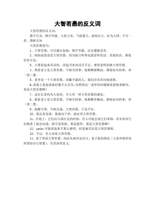 大智若愚的反义词