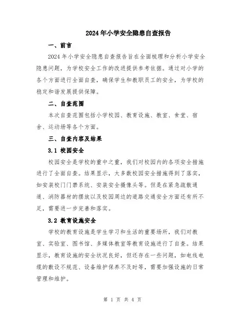 2024年小学安全隐患自查报告