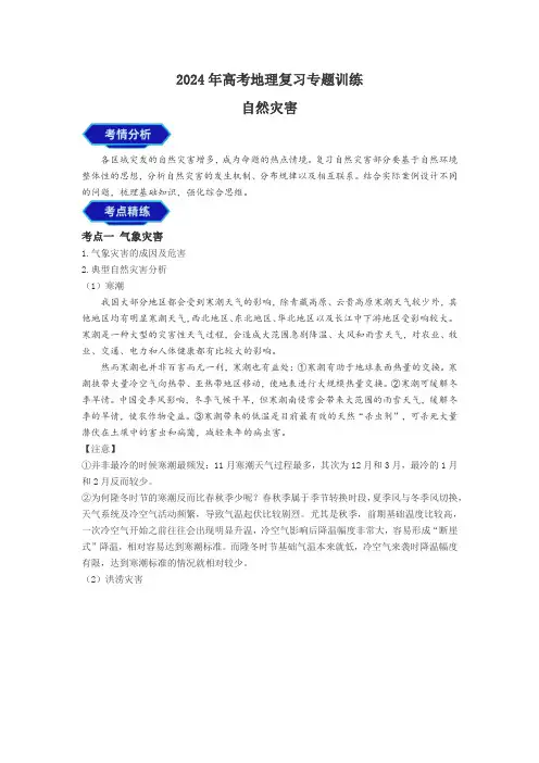 2024年高考地理复习专题训练自然灾害