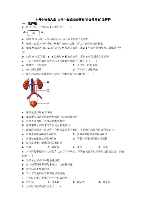 中考生物第六章 人体生命活动的调节(讲义及答案)及解析