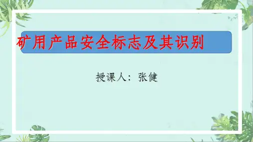 矿用产品安全标志及其识别PPT课件
