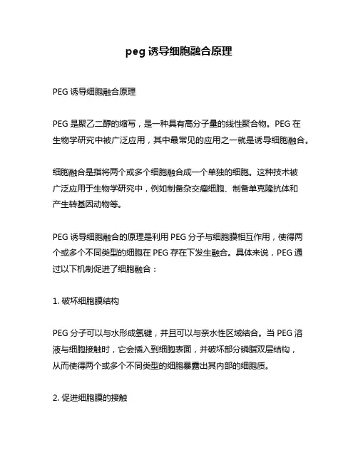 peg诱导细胞融合原理
