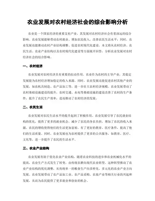 农业发展对农村经济社会的综合影响分析