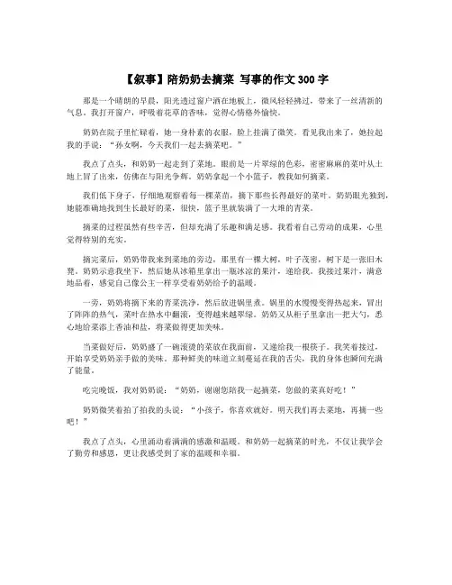 【叙事】陪奶奶去摘菜 写事的作文300字