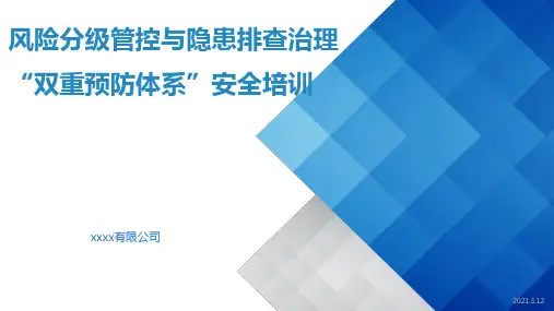 安全双体系培训课件