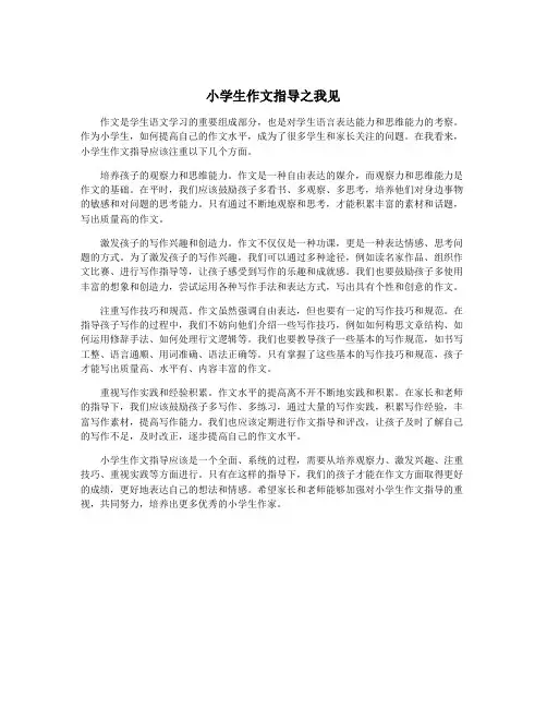 小学生作文指导之我见