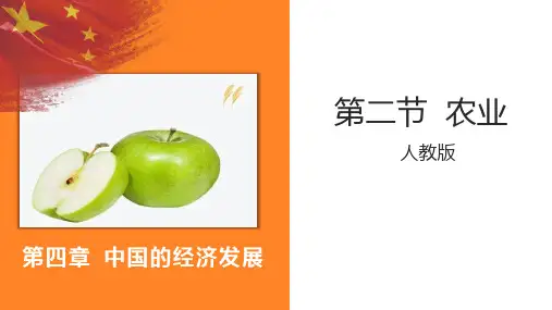 地理《农业》PPT精品课件