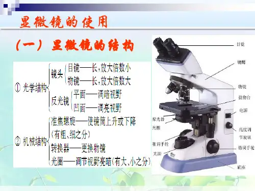 高中生物：显微镜的使用