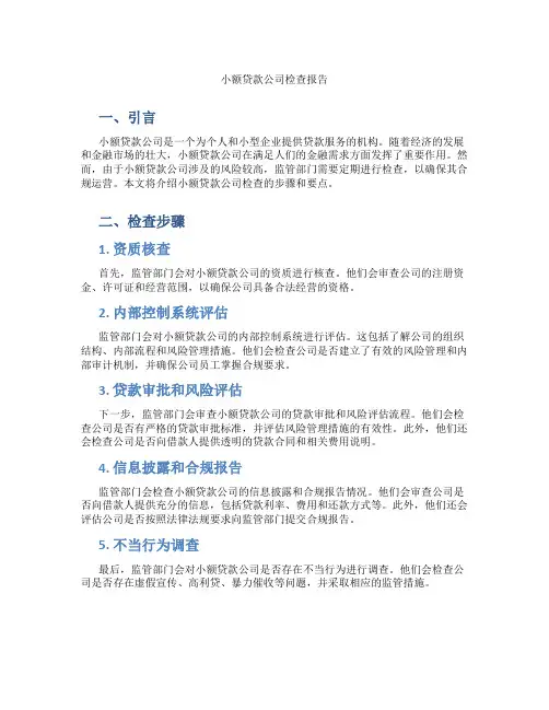 小额贷款公司检查报告