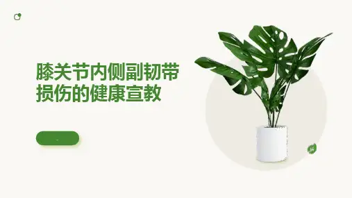 膝关节内侧副韧带损伤的健康宣教