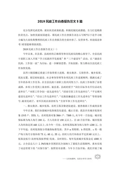 2019民政工作自查报告范文5篇