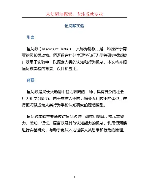 恒河猴实验
