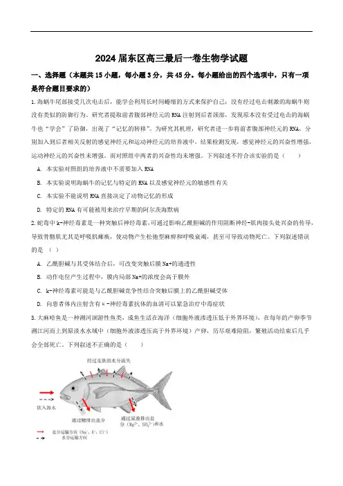 安徽省合肥一六八中学(东校区)2024届高三下学期最后一卷(三模)生物试卷(含答案)