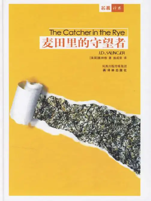麦田里的守望者读书课件