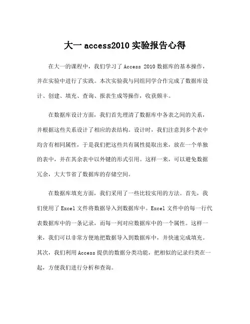 大一access2010实验报告心得