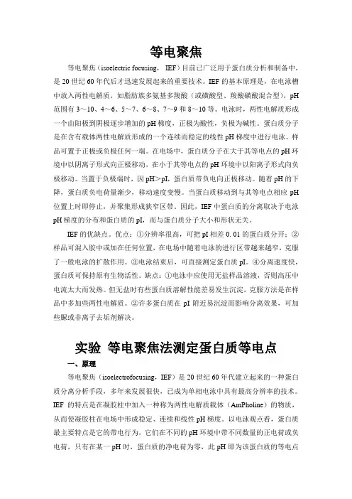 等电聚焦