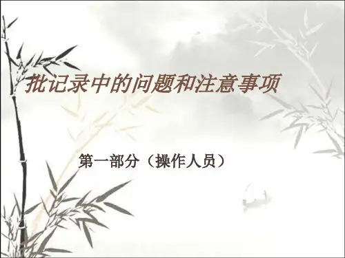 批记录中的问题和注意事项培训 PPT