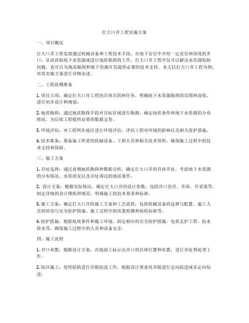 打大口井工程实施方案