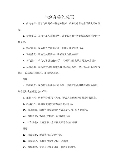 与鸡有关的成语