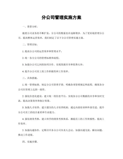 分公司管理实施方案