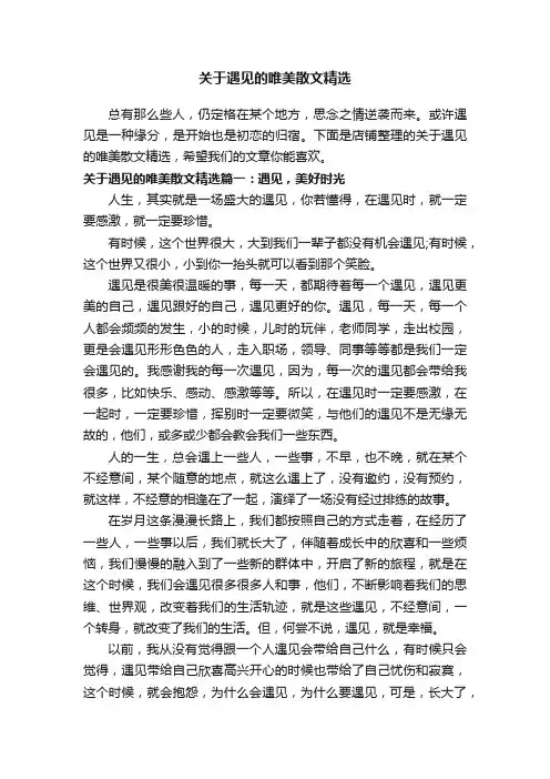 关于遇见的唯美散文精选