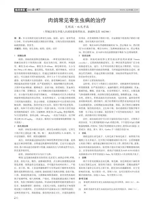 肉鸽常见寄生虫病的治疗