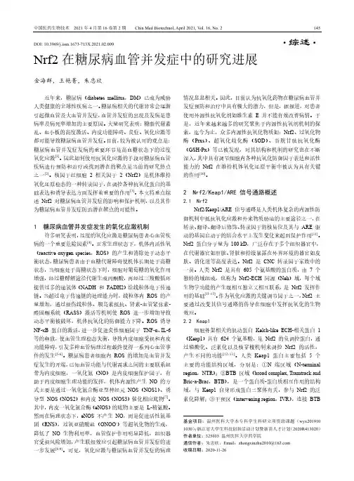 Nrf2在糖尿病血管并发症中的研究进展