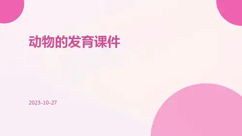 动物的发育课件