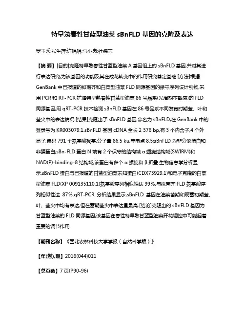 特早熟春性甘蓝型油菜sBnFLD基因的克隆及表达