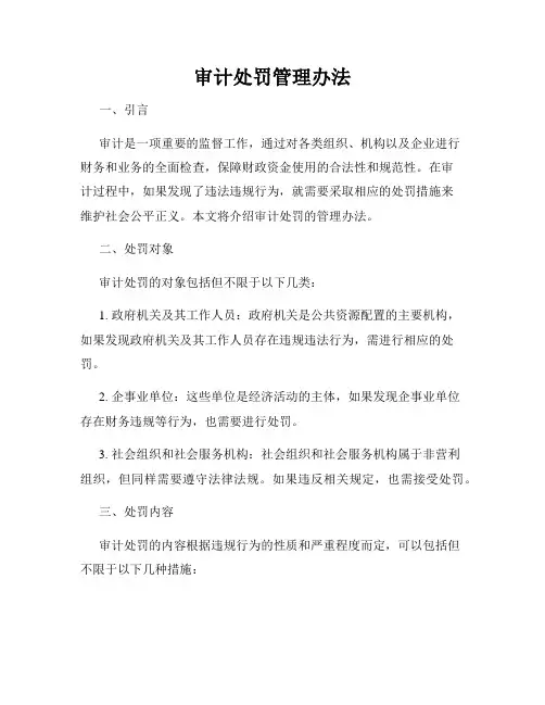 审计处罚管理办法