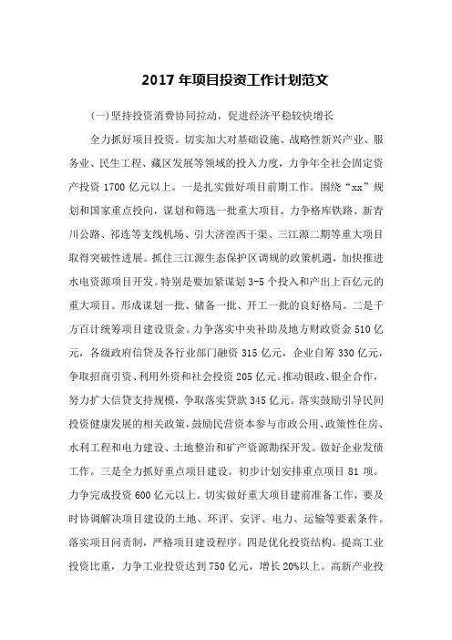 2017年项目投资工作计划范文