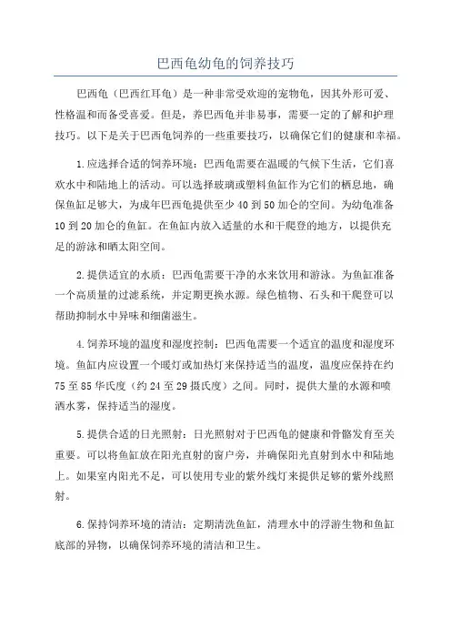 巴西龟幼龟的饲养技巧