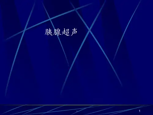 胰腺超声基础ppt课件