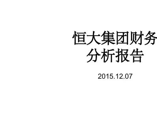 恒大集团财务分析