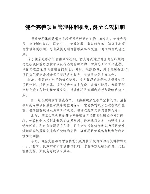 健全完善项目管理体制机制,健全长效机制