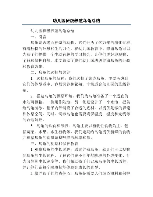 幼儿园班级养殖乌龟总结