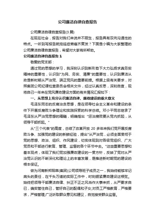 公司廉洁自律自查报告（3篇）