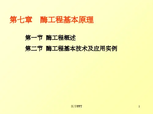 《酶工程概述》PPT课件