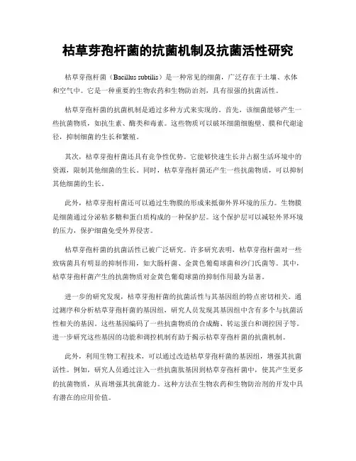 枯草芽孢杆菌的抗菌机制及抗菌活性研究