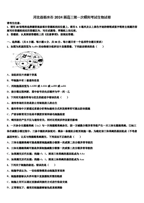 河北省衡水市2024届高三第一次模拟考试生物试卷含解析