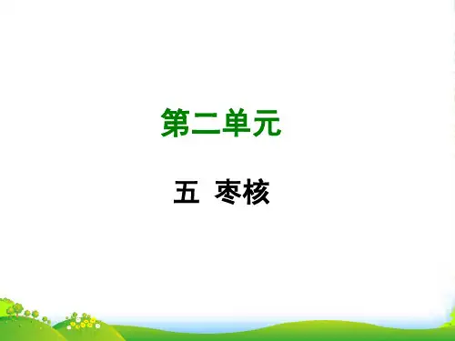 苏教版八年级语文上册课件：五 枣核 (共28张PPT)