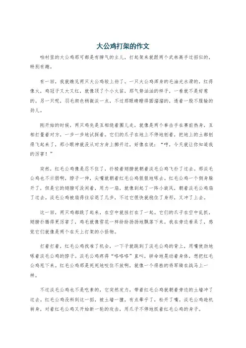 大公鸡打架的作文