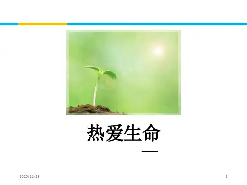 人教版高中语文必修四《热爱生命》短文三篇优质PPT教学课件