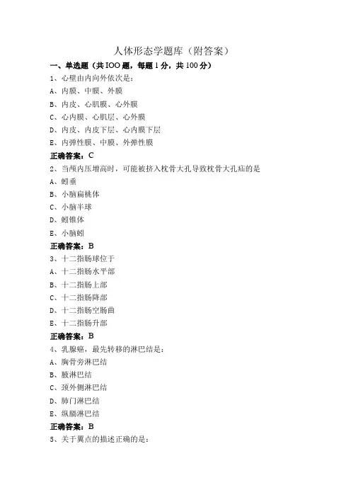人体形态学题库(附答案)